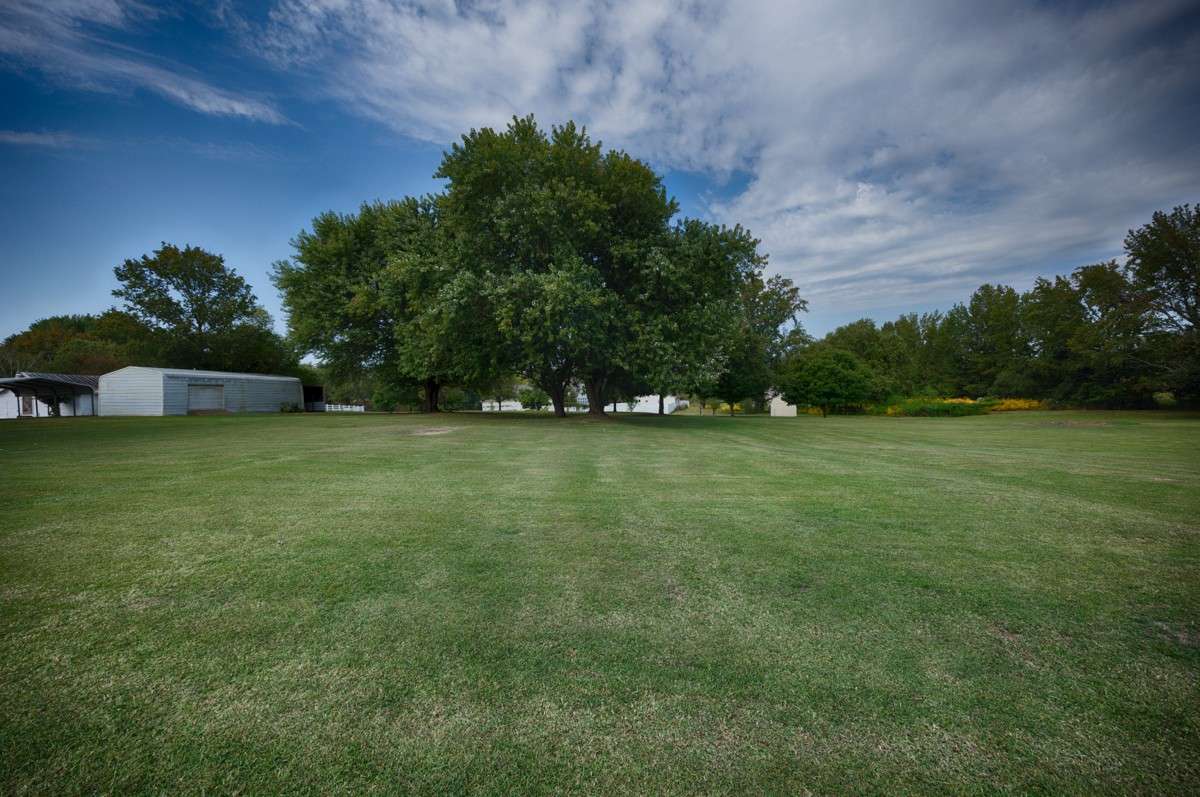 Large yard with some mature trees for shade