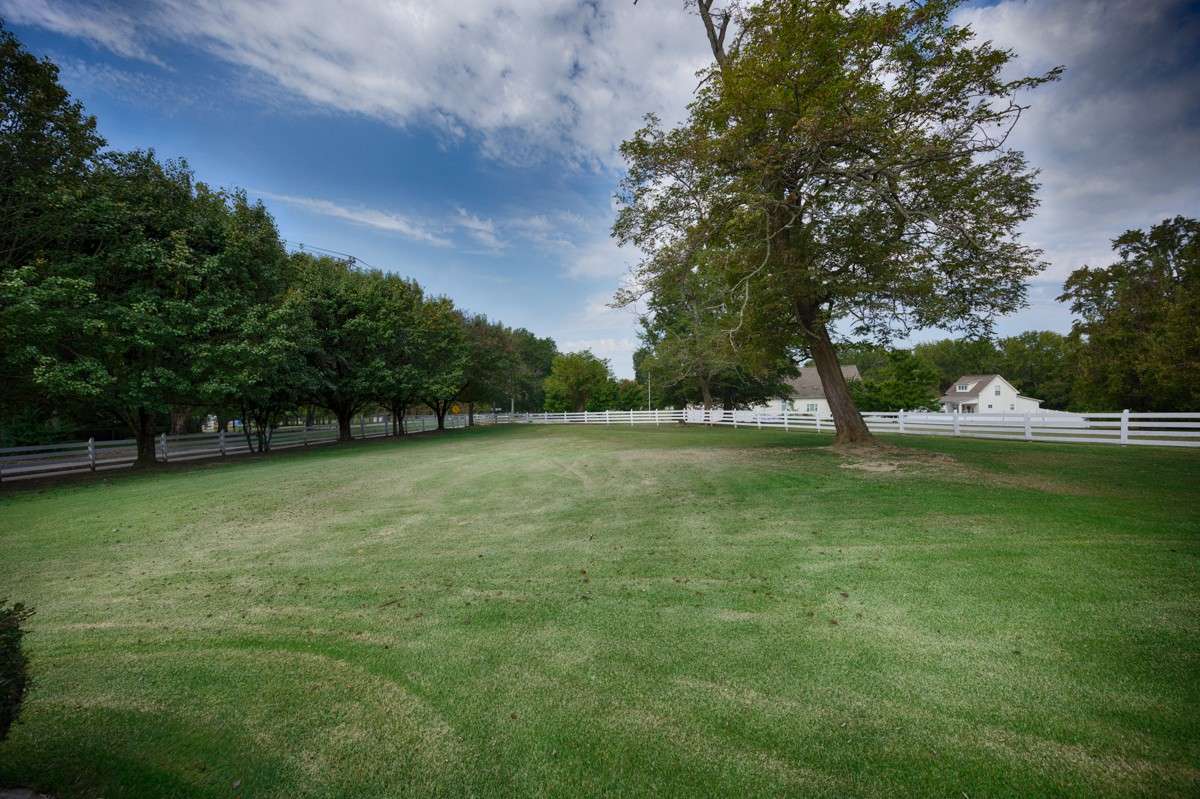 Large yard with some mature trees for shade