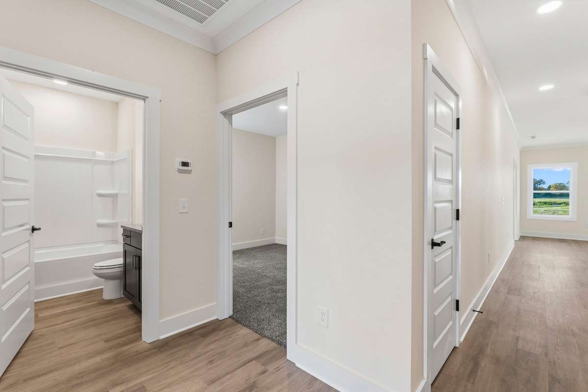 From the entrance you can see down the hall into the living room including a coat closet.