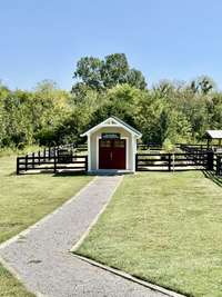 Herb garden!  This is full of all of the herbs for creating dishes from the Chef of the family