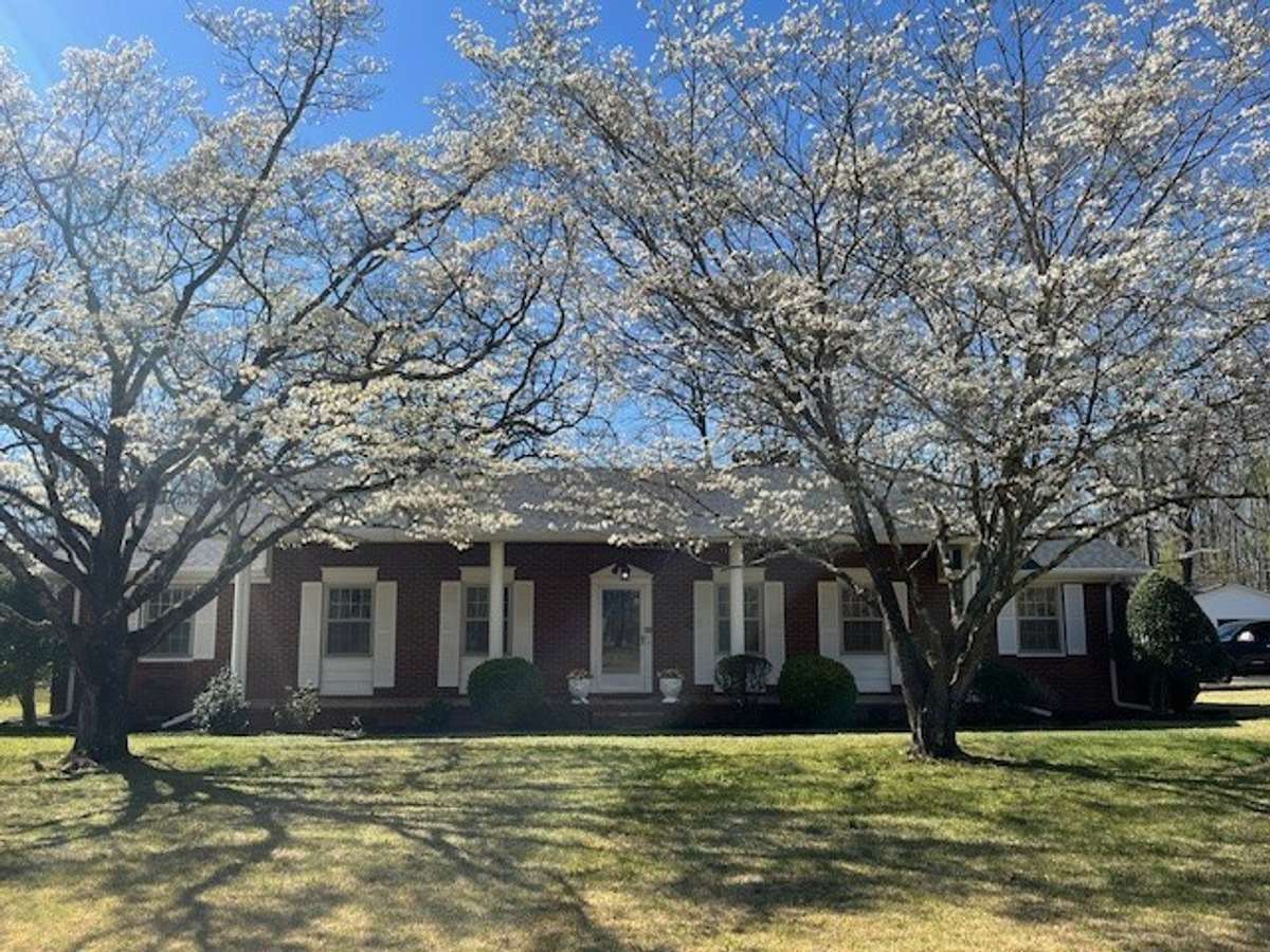 Beautiful dogwoods line the front of the home.