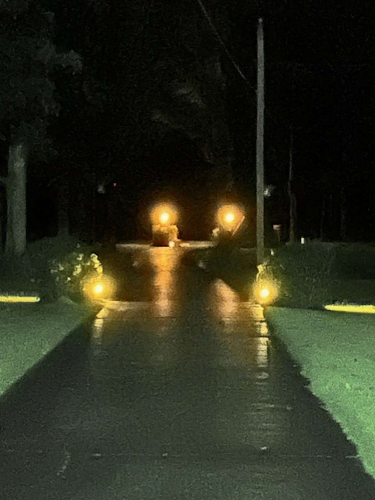 Solar lights down the driveway.