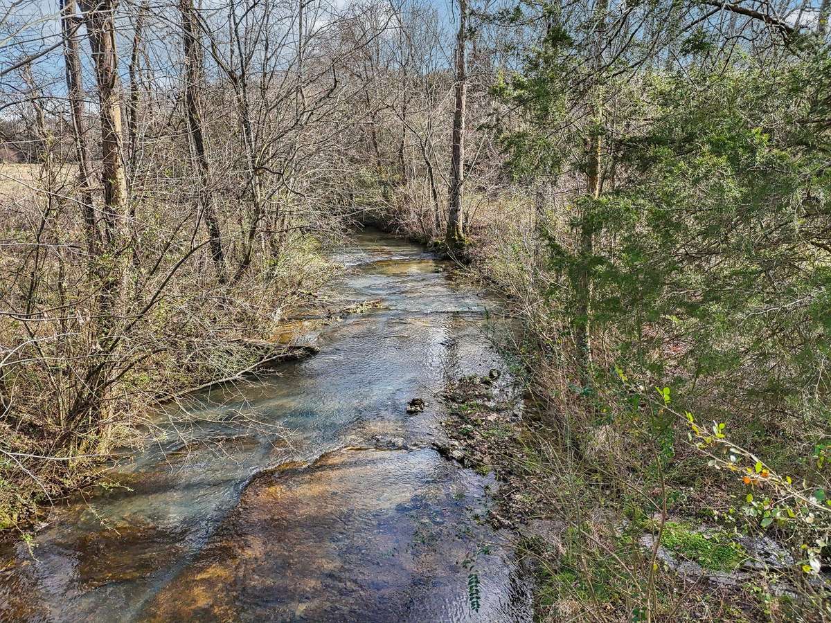 creek flowing along the back property line