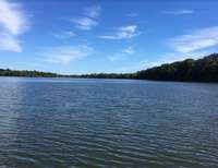 A 5 minute drive to Nashville favorite, Percy Priest Lake which has trails, playgrounds, and gorgeous green space to romp around in