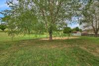 Back yard with shed (stays with property)