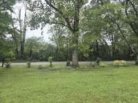 View of Front Yard and No House across the street to look at.