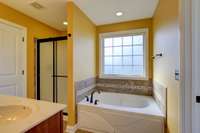 Primary Bathroom II