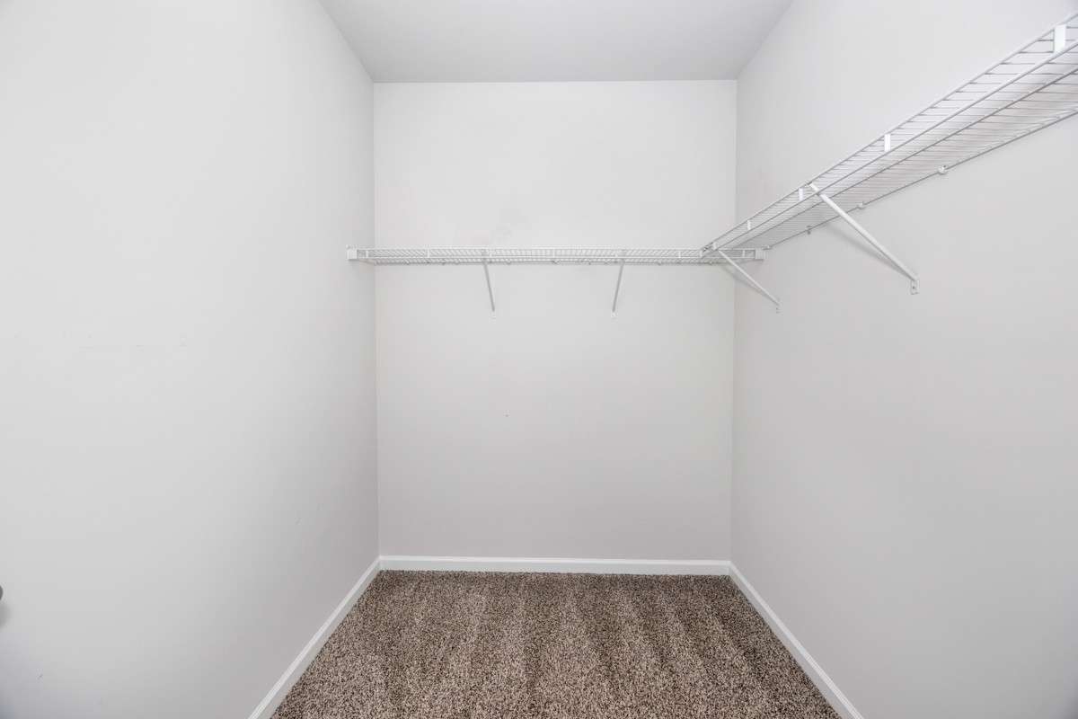 Walk-in closet- carpet, wire shelving