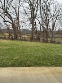 Backyard fence included