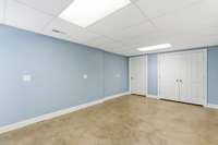 Lower level features a spacious blue primary bedroom with full bath and convenient kitchenette, ideal for an in-law suite, guests, or long-term stays, complete with its own private entrance.