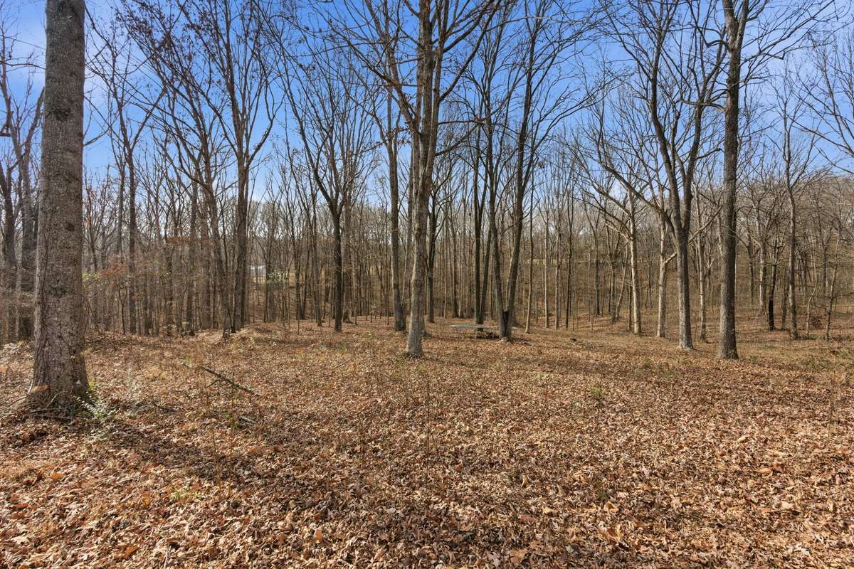 Set on 4.01 acres, this property offers plenty of room to roam, play, and enjoy the outdoors, while the fenced backyard provides a secure space for kids, pets, and gatherings.