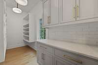 Spacious walk-in pantry