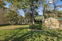 Fenced back yard with plenty of room for a garden, the storage shed, and entertaining.
