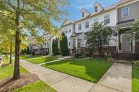 Lots of green and trees