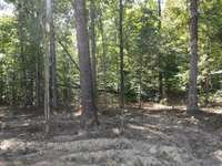 Your wooded lot behind the house. You don't see that much anymore...