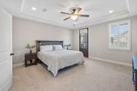 LARGE Primary Bedroom Suite.  Tray ceiling, flush-mounted-LED lighting, 6-pane door leads to 2nd floor balcony.  Door has been recently re-stained.