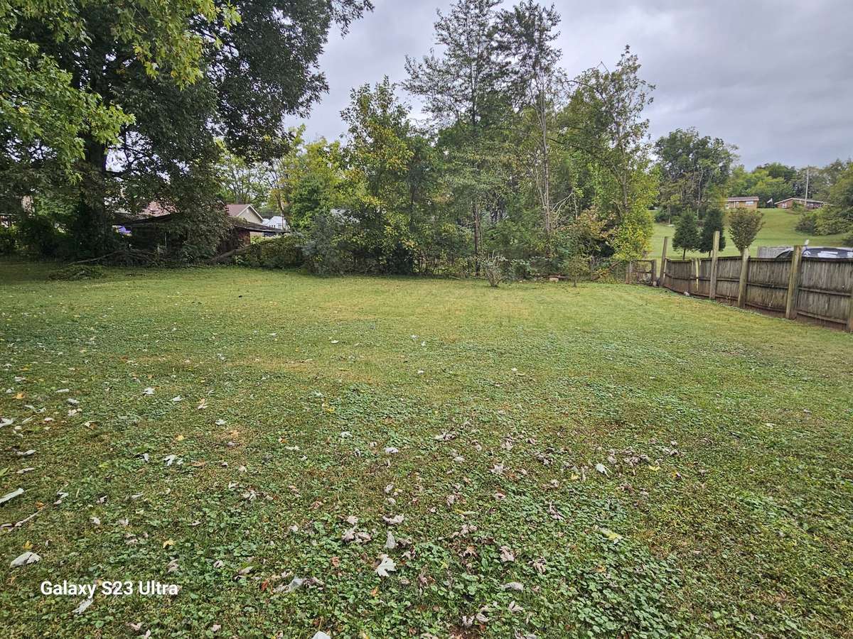Large back yard