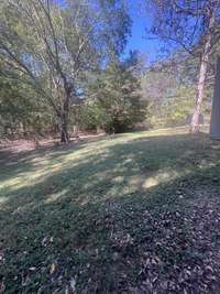 View of backyard from workshop back of home