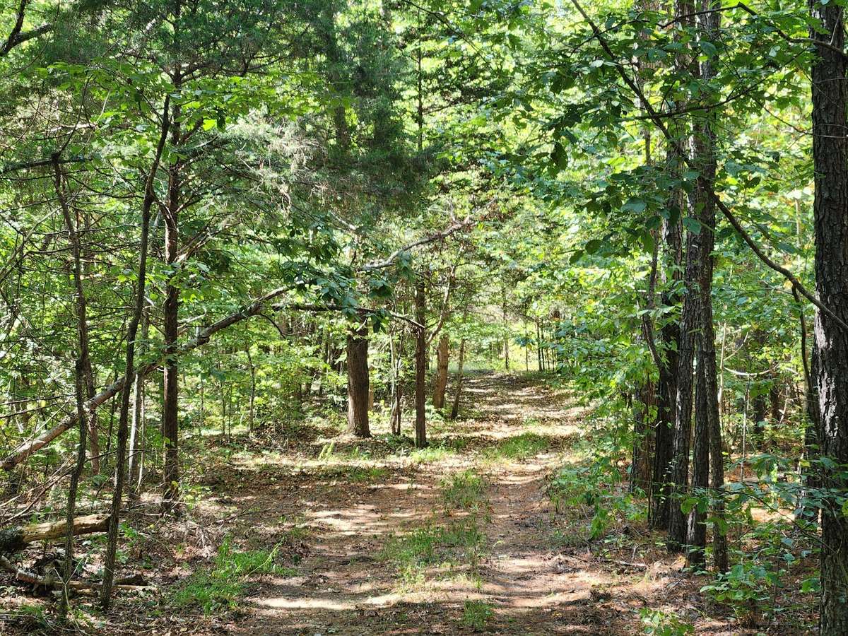 Miles and miles of wide trails throughout the property.