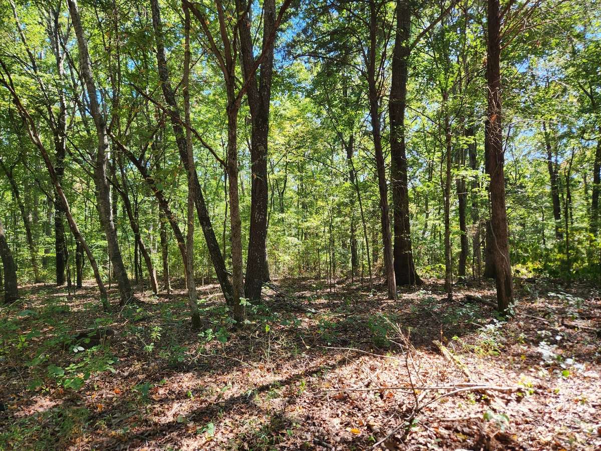 183+ acres of woods, trails, camping areas, and a pond.