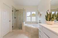 Oversized soaking tub and walk-in shower