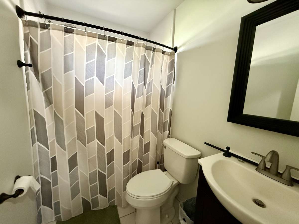 Hall bathroom downstairs