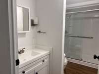 Updated Hallway Bathroom - new vanity, flooring, plumbing, lighting and more.