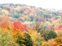 Fall is very close and the views are incredible!