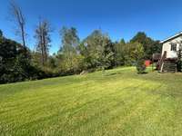 Side view of back yard