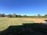 View of the backyard