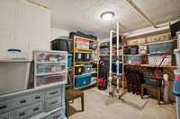 Basement level storage or shelter from storms