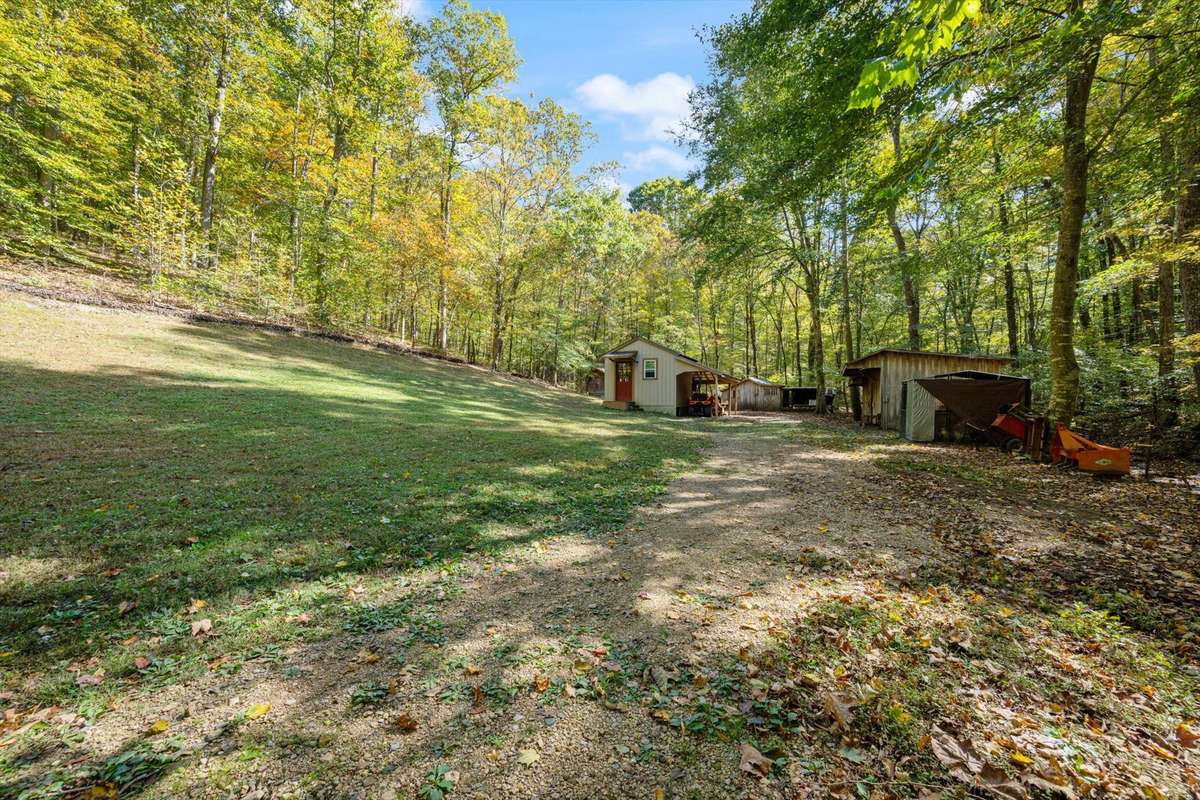 Back cleared area with workshop, 3 stall barn, chicken coop and storage shed