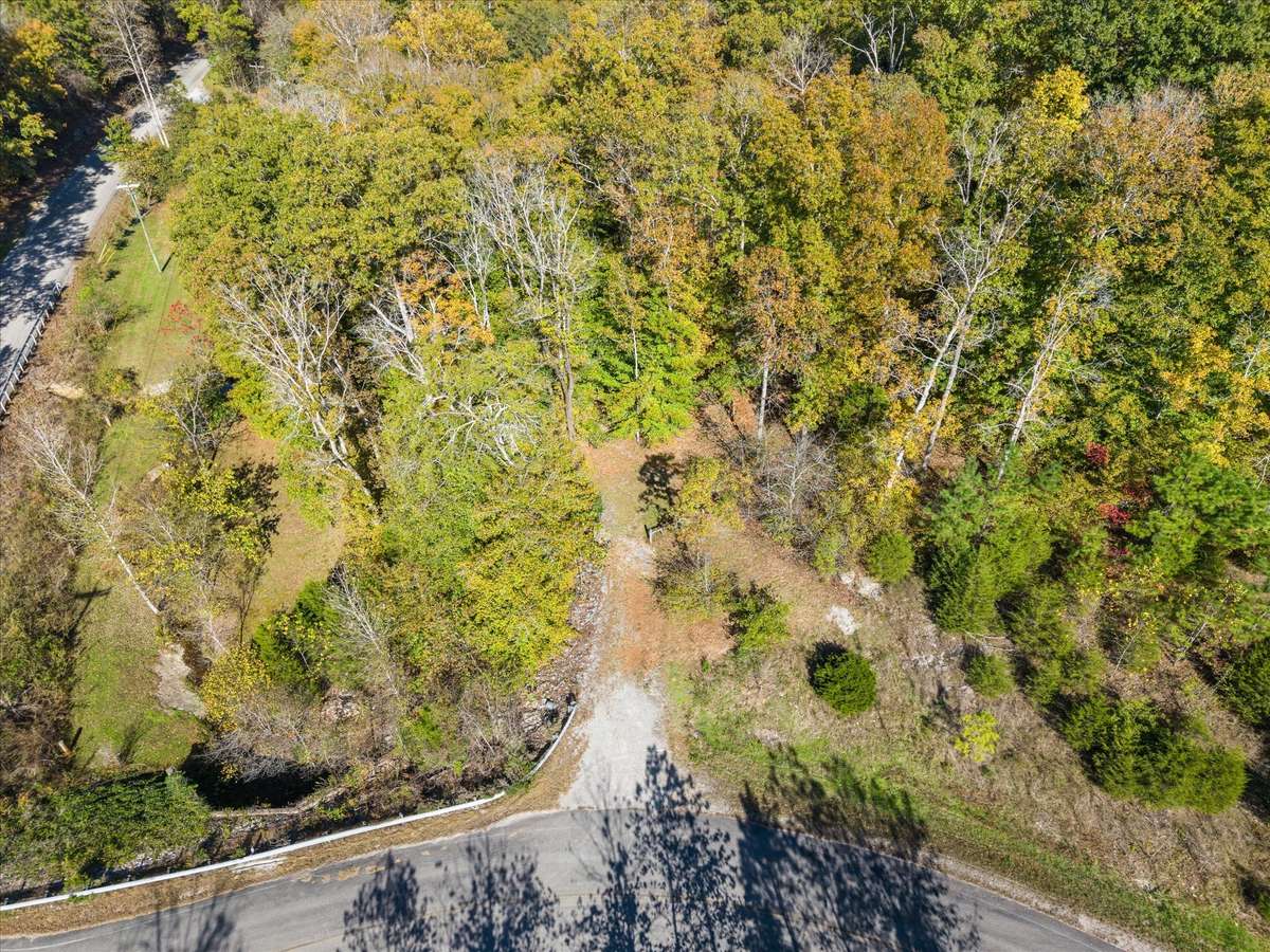 2 driveways in place - 1 on Leipers Fork Rd is the main entrance for the home. The second is off Mobleys Cut Rd right before 840. This entrance could be the driveway for a second home as well.