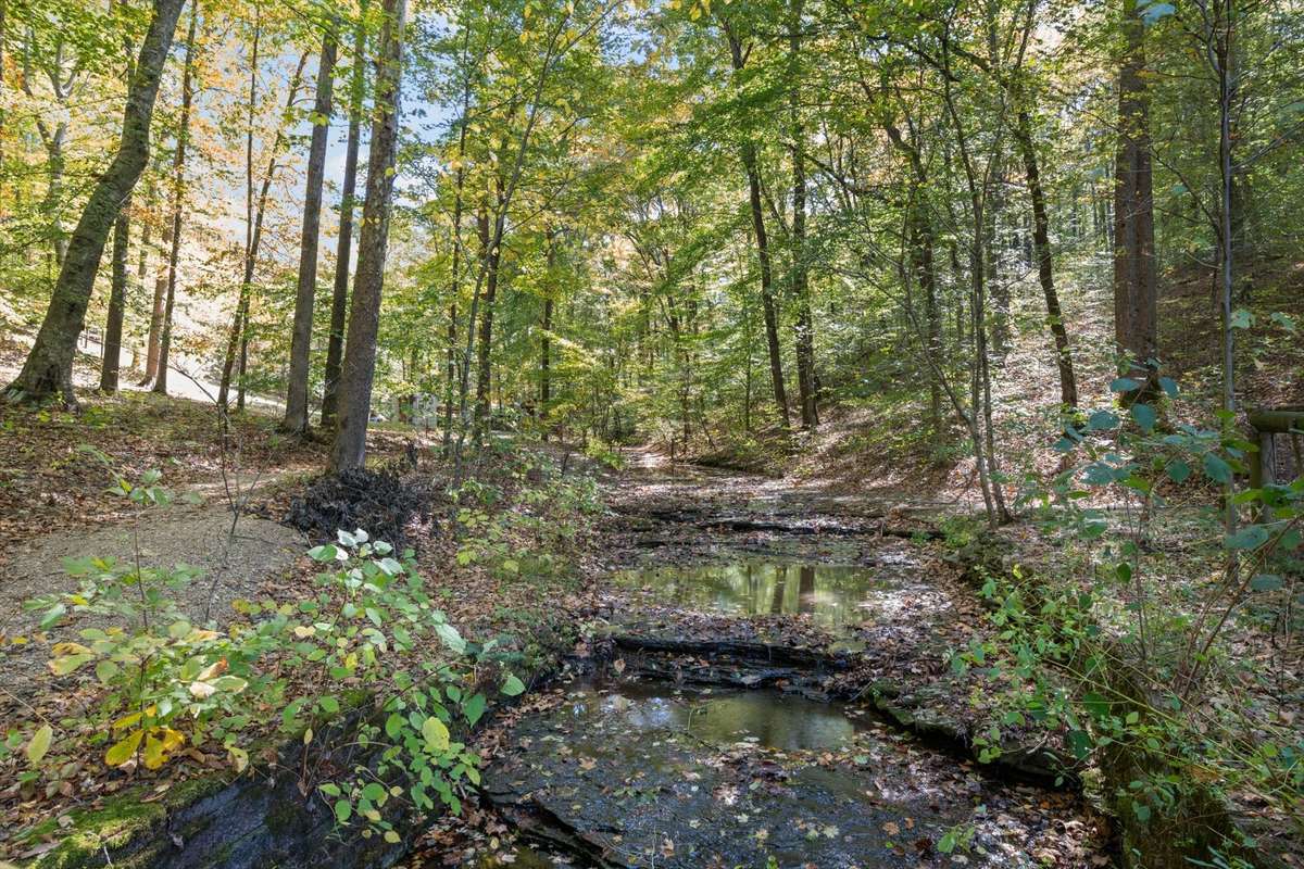 Waterfalls, creeks, springs!