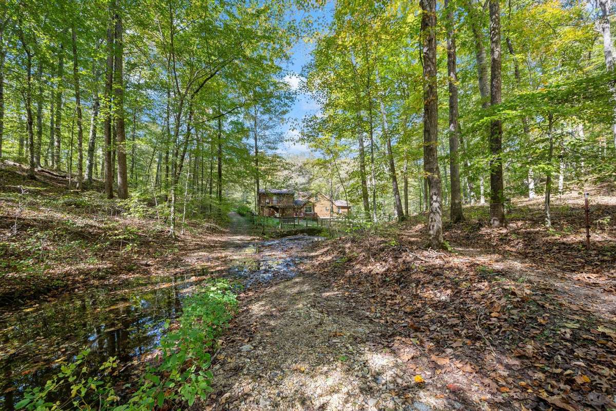 creek along the back of the property/home