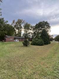 Front of the Property: Theses evergreen trees block site of the road and even dampen the noise of the occasional car driving by.