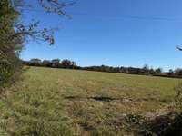 Filed beside the home and on corner.