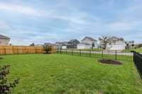 Backyard with Access Gate to Back Alley