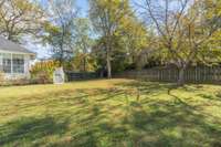 Generous level back yard