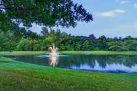 A beautiful lake for your enjoyment!