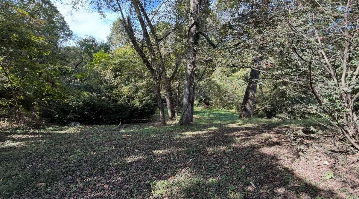 Back Yard with wooded area and privacy.