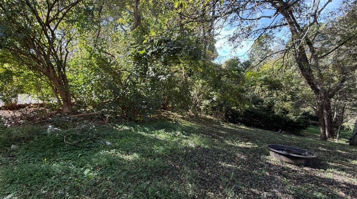 Back Yard - Lots of Privacy