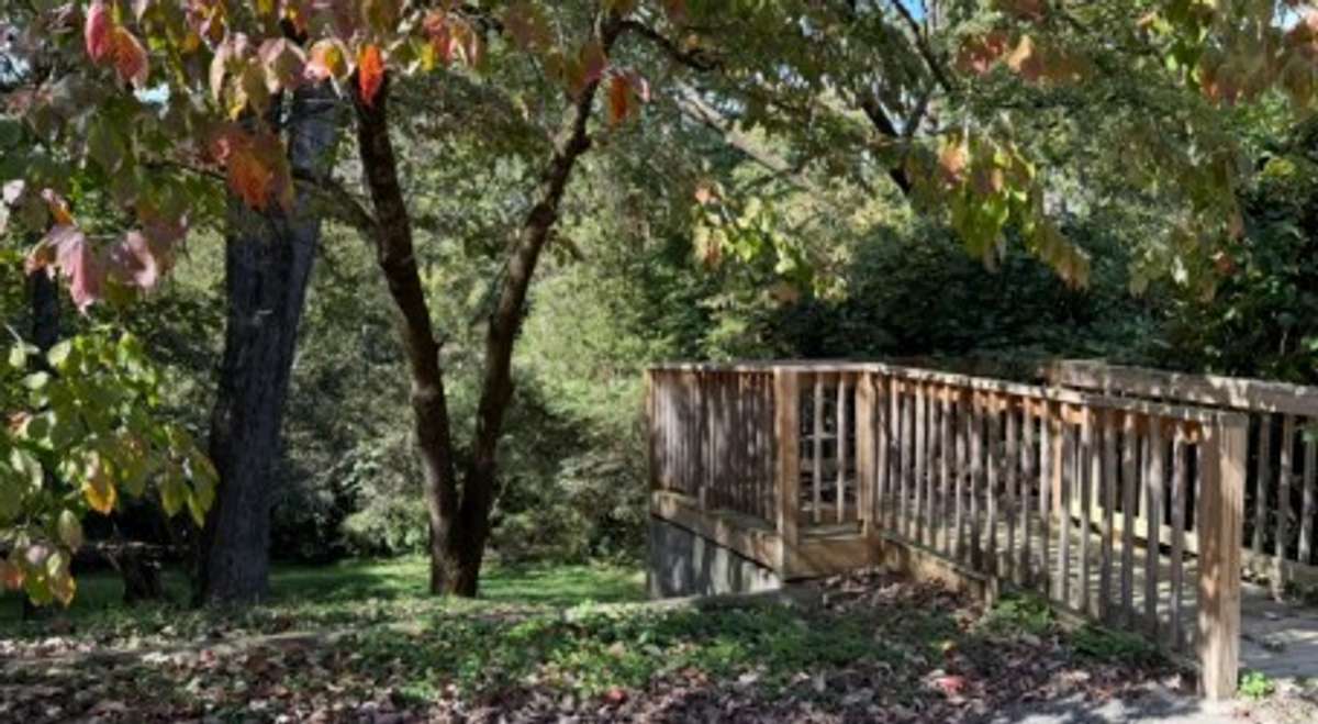 Back Yard with a Seperate Deck