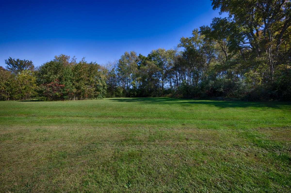 Open Cleared Land with some mature trees