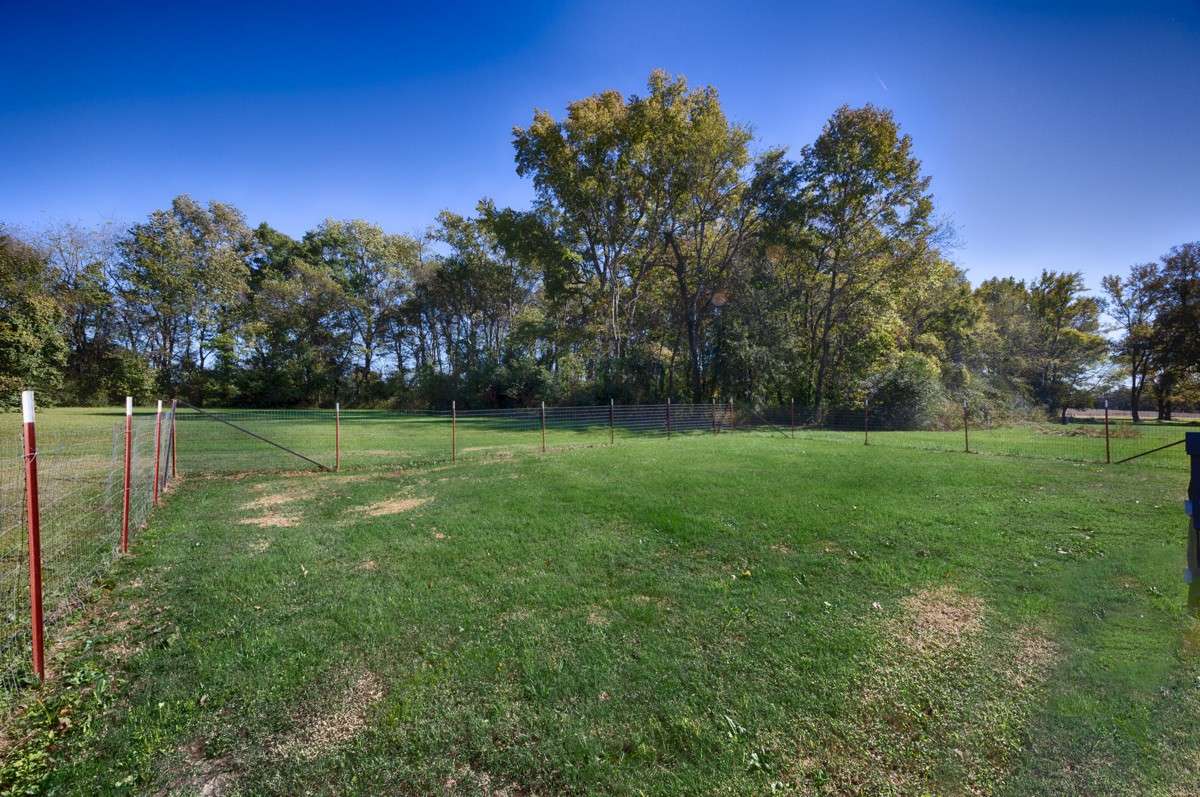 Fenced area - perfect for dog run