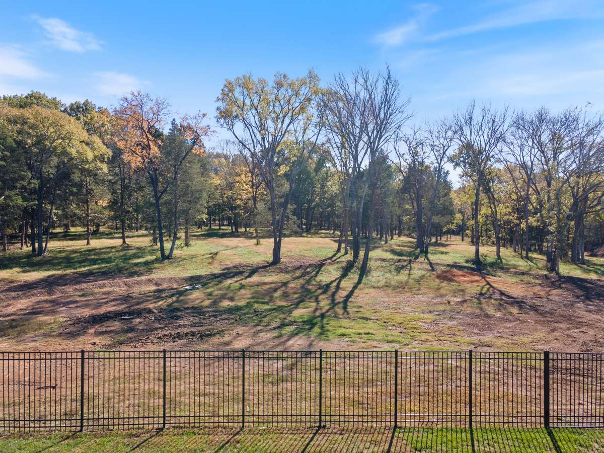 Picturesque wooded views from the backyard.
