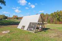 Chicken coop and four laying hens stay!