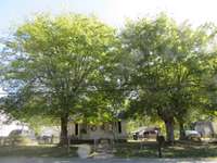 Beautiful large lot with mature tress! Build your home and additional (rental/in-laws/AirBnb)one on this lot.