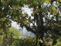 Amazing view from the back yard