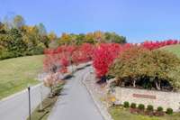 Manicured grounds are simply beautiful....check out those beautiful Red Maple Trees lining the entrance to your new home!